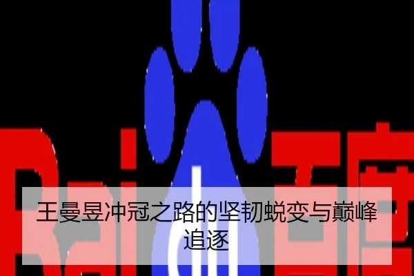 王曼昱冲冠之路的坚韧蜕变与巅峰追逐